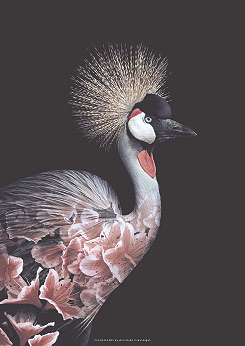 Faunascapes Crowned Crane Flower Portrait Art Print